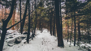 OUTDOORS NOTEBOOK: My 3 favorite trails around Morgantown for winter hiking